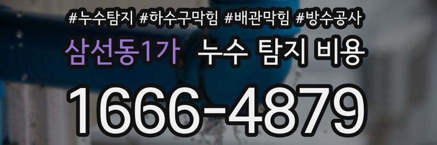 삼선동1가 누수 탐지 비용