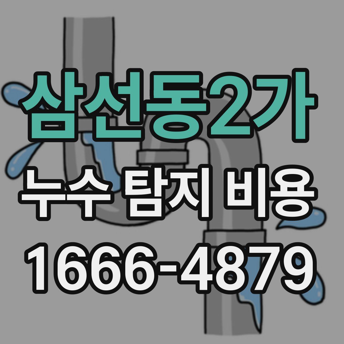 삼선동2가 누수 탐지 비용