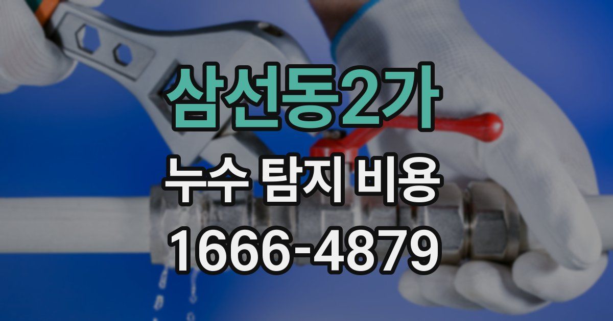 삼선동2가 누수 탐지 비용