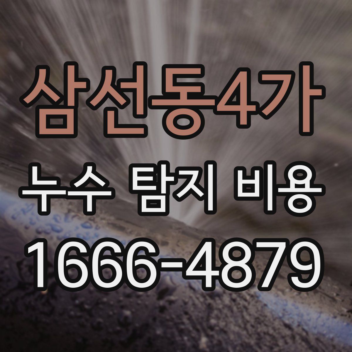삼선동4가 누수 탐지 비용