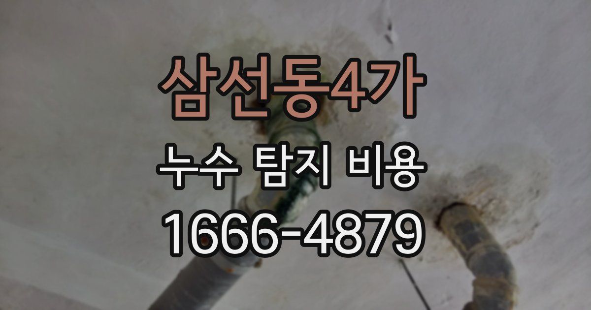 삼선동4가 누수 탐지 비용