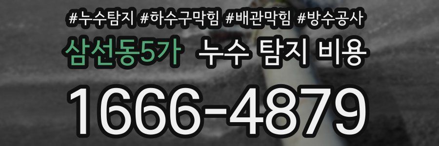 삼선동5가 누수 탐지 비용