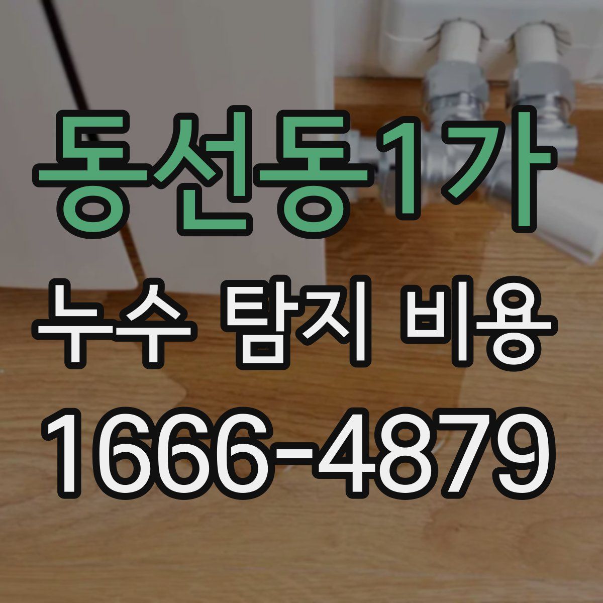 동선동1가 누수 탐지 비용