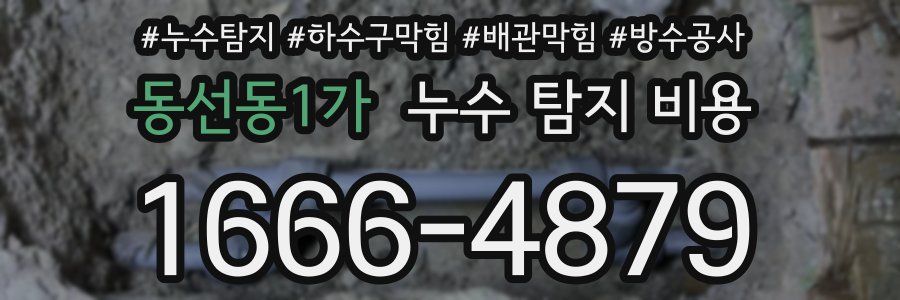 동선동1가 누수 탐지 비용