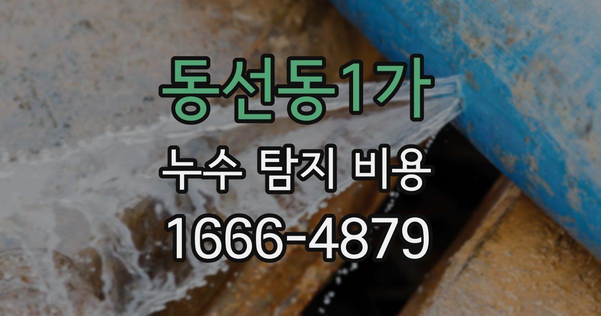 동선동1가 누수 탐지 비용