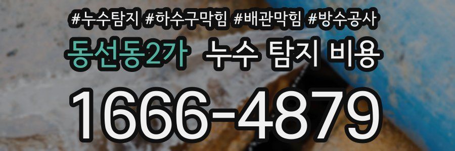 동선동2가 누수 탐지 비용