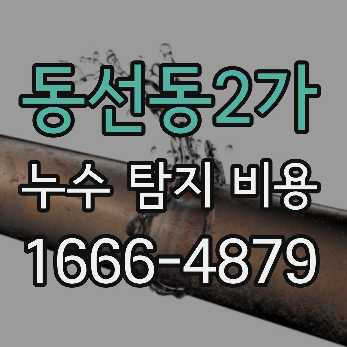 동선동2가 누수 탐지 비용