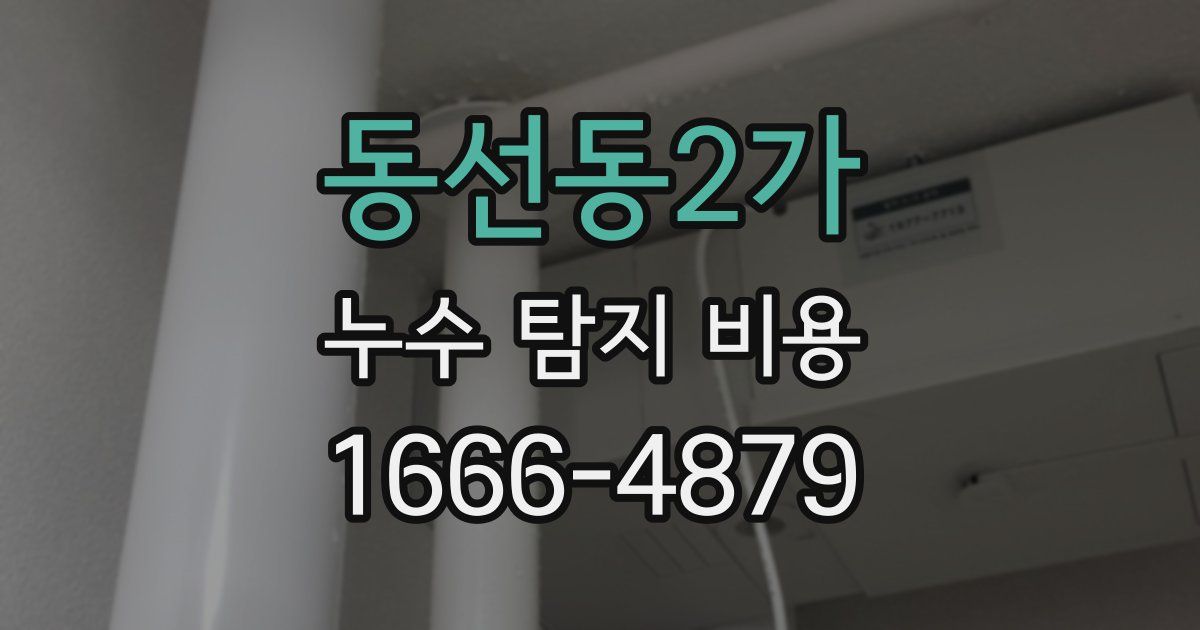 동선동2가 누수 탐지 비용