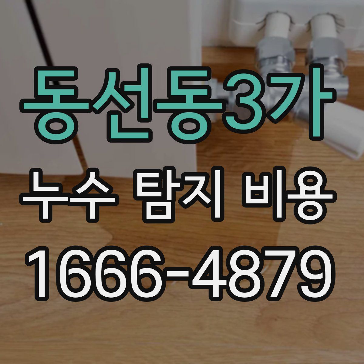 동선동3가 누수 탐지 비용