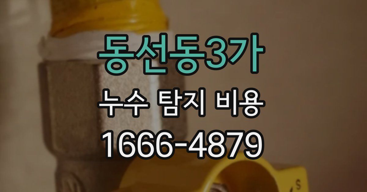 동선동3가 누수 탐지 비용