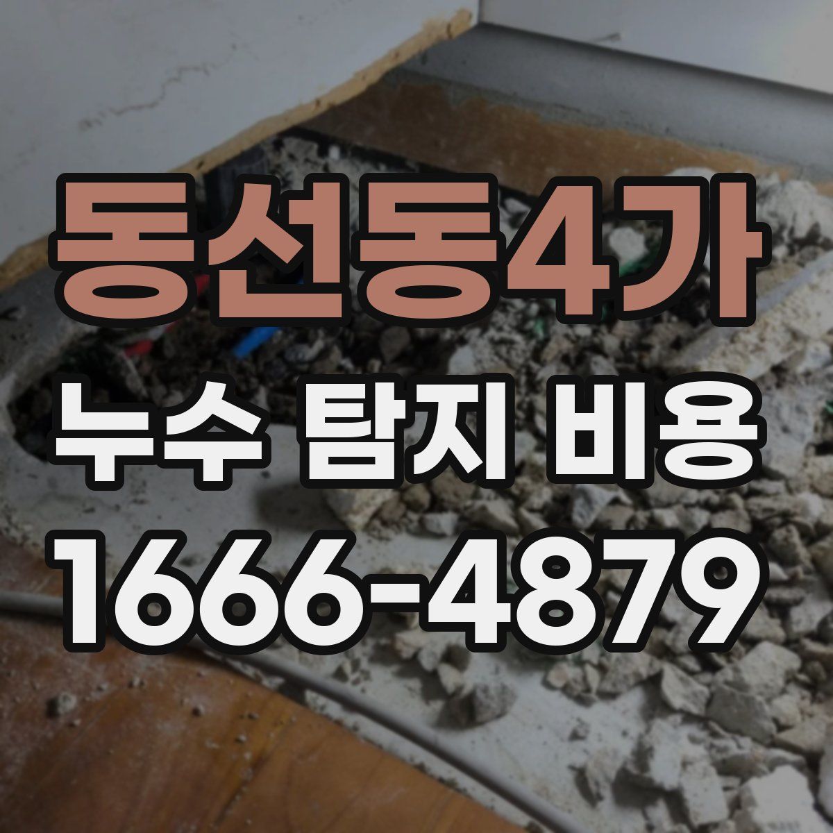 동선동4가 누수 탐지 비용