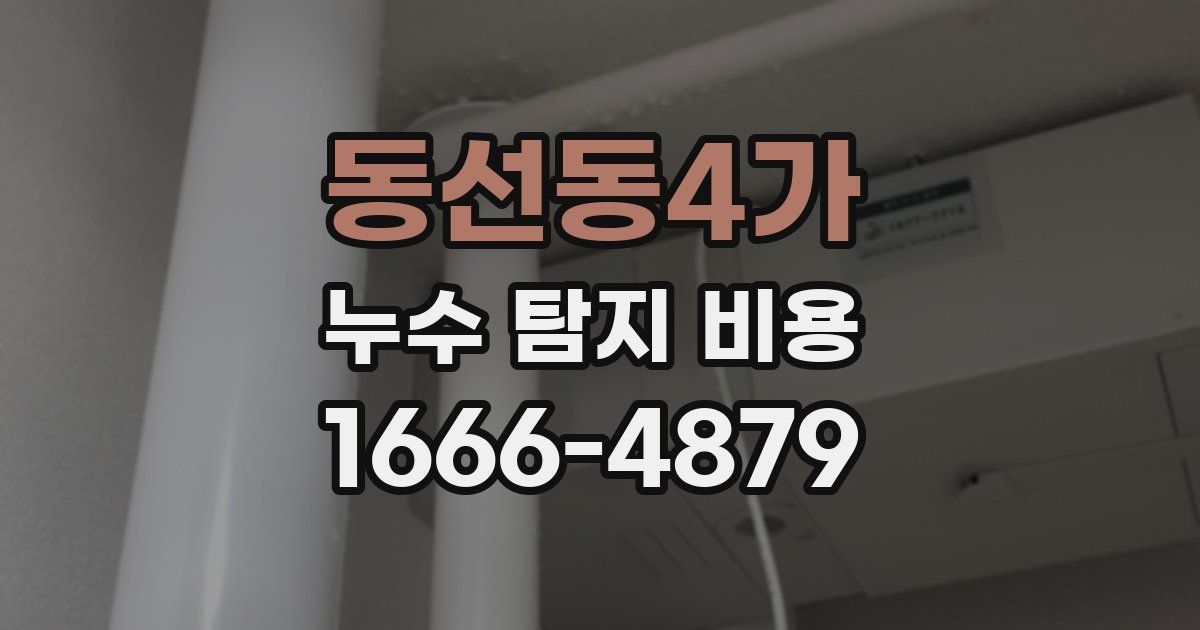 동선동4가 누수 탐지 비용