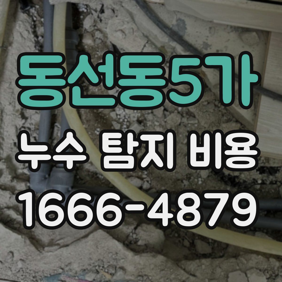 동선동5가 누수 탐지 비용