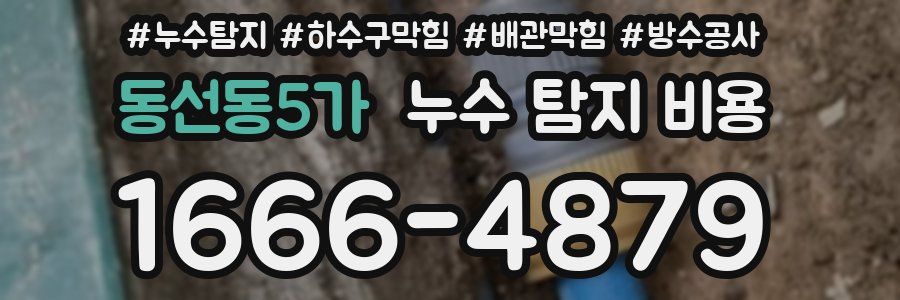 동선동5가 누수 탐지 비용