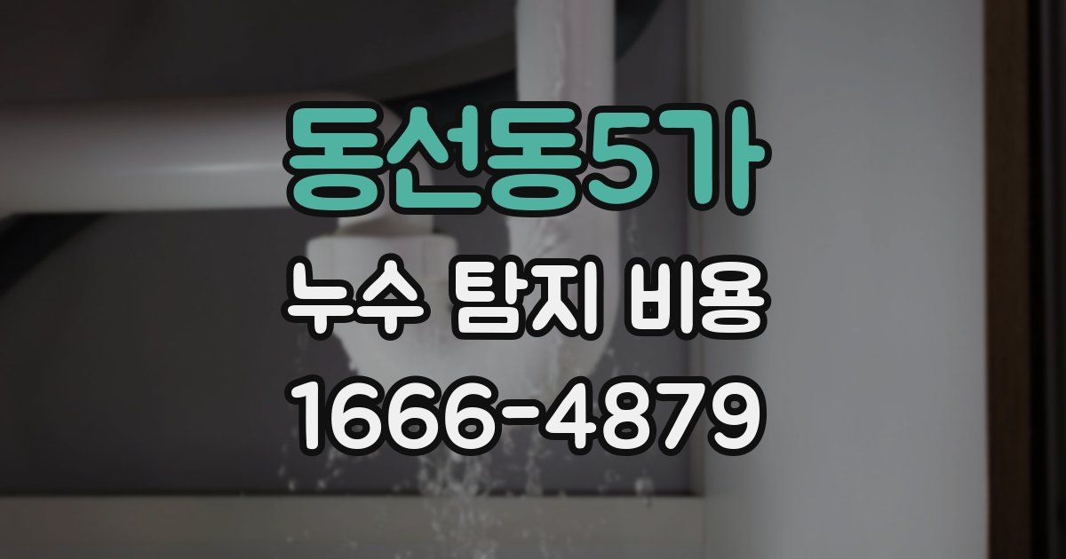 동선동5가 누수 탐지 비용