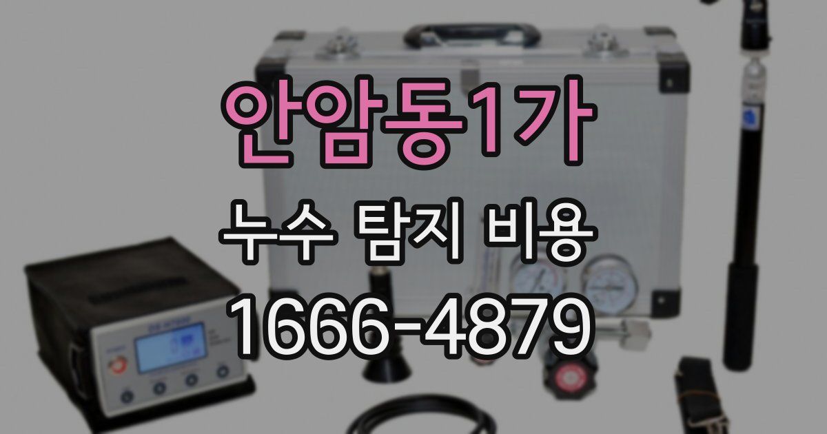 안암동1가 누수 탐지 비용