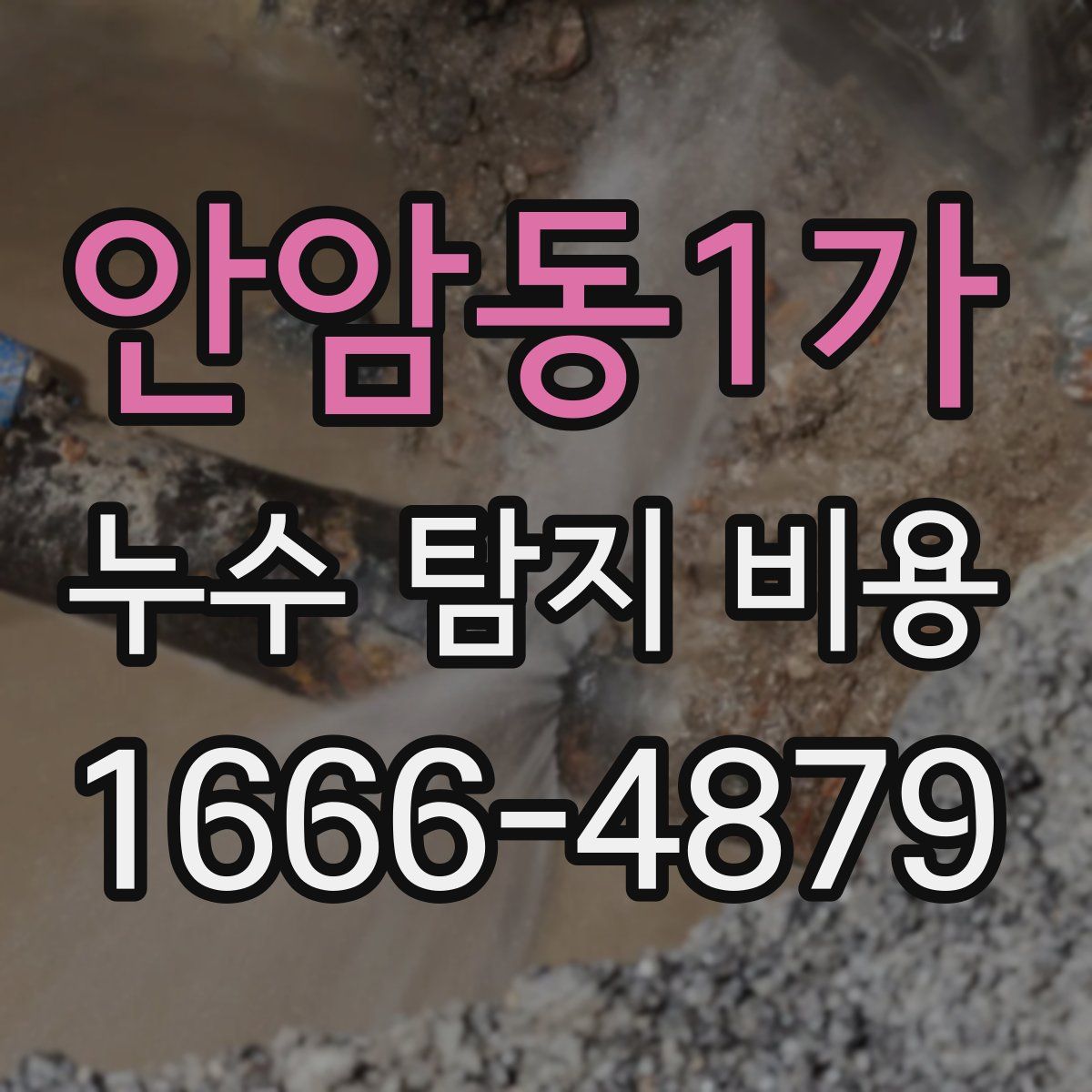 안암동1가 누수 탐지 비용