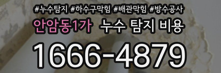 안암동1가 누수 탐지 비용