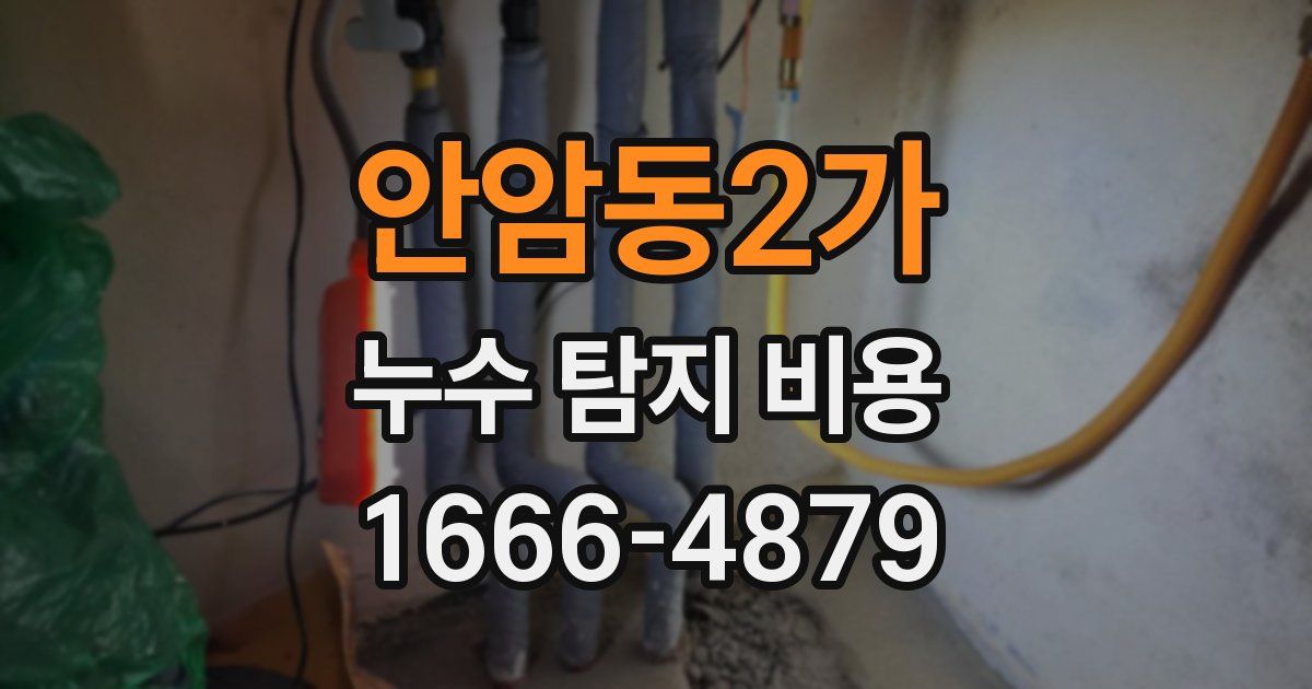 안암동2가 누수 탐지 비용