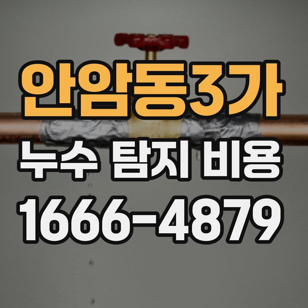 안암동3가 누수 탐지 비용
