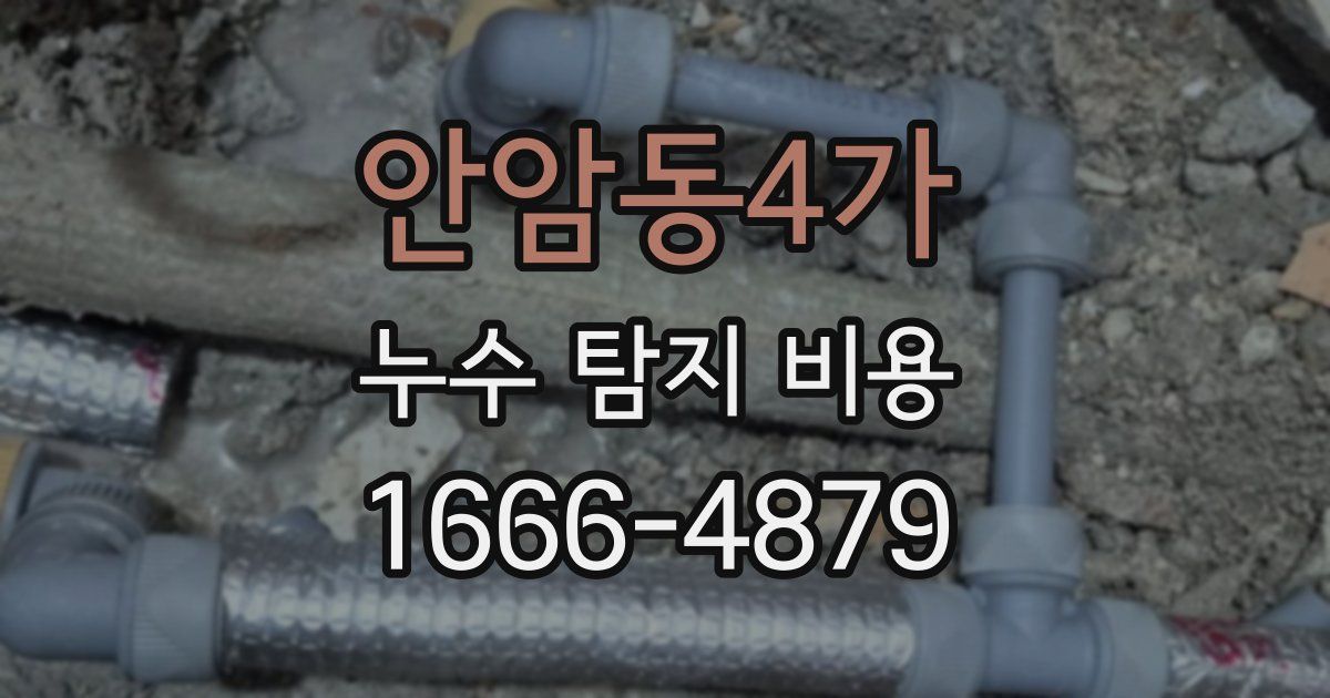 안암동4가 누수 탐지 비용
