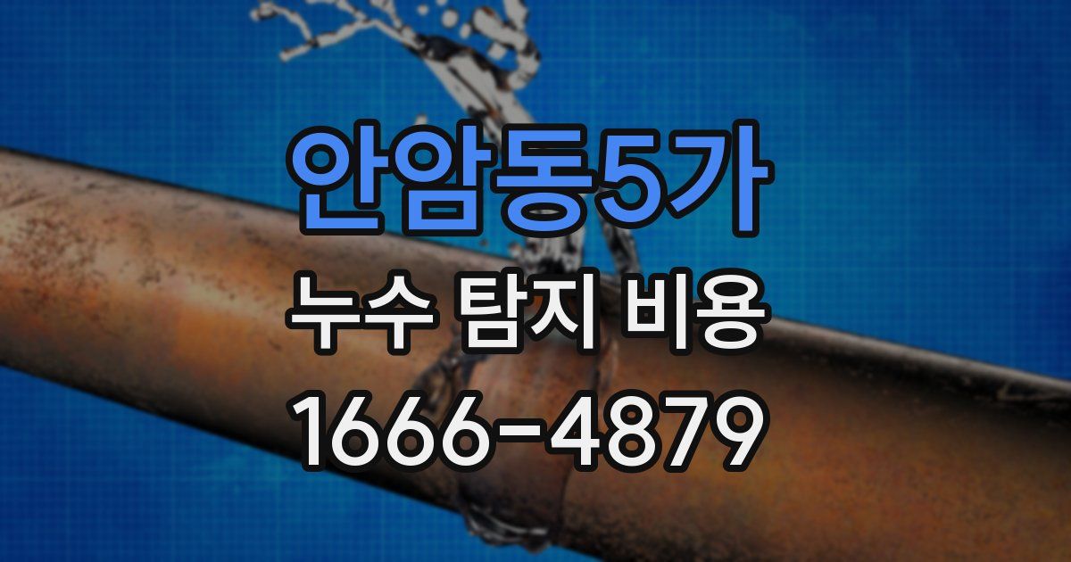 안암동5가 누수 탐지 비용