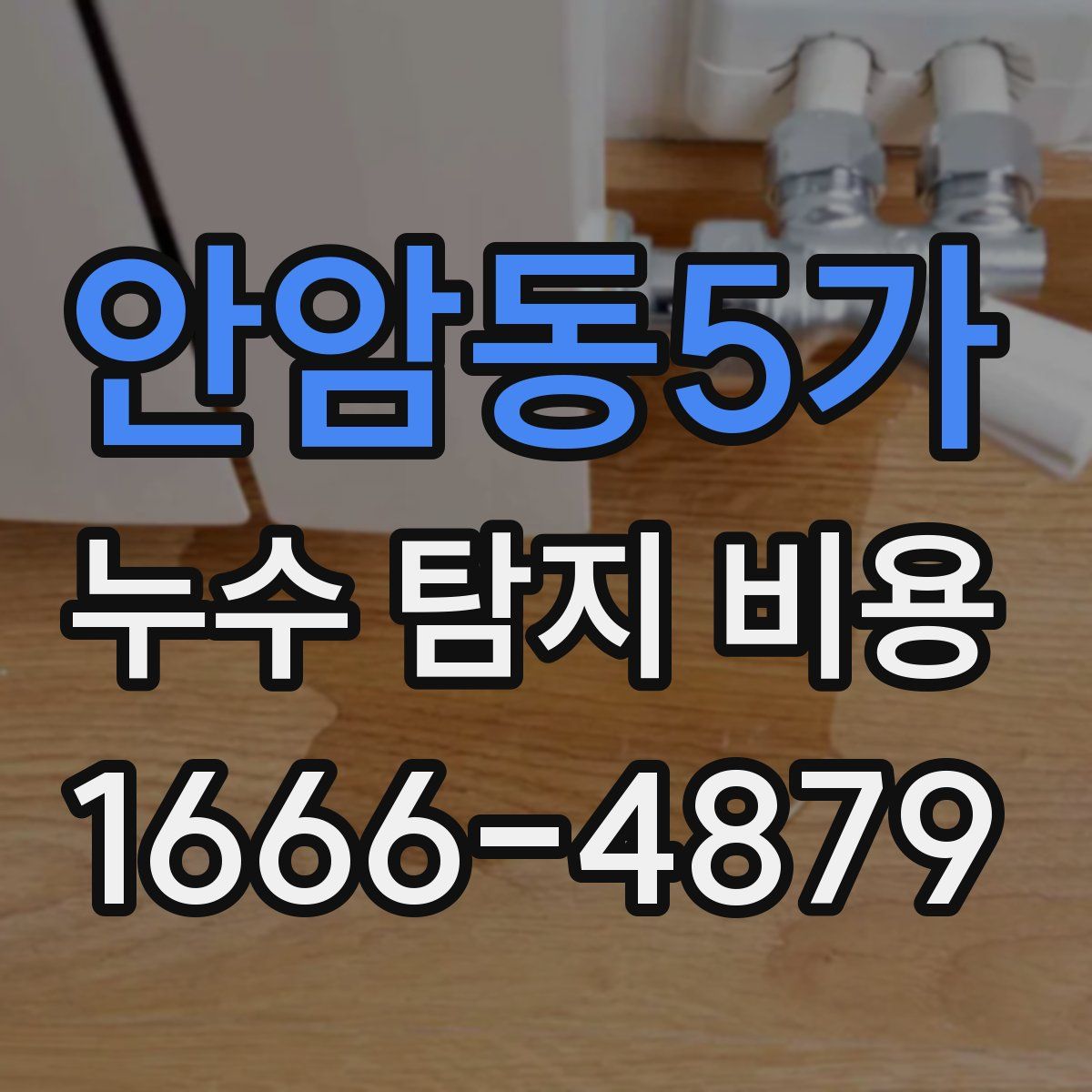 안암동5가 누수 탐지 비용