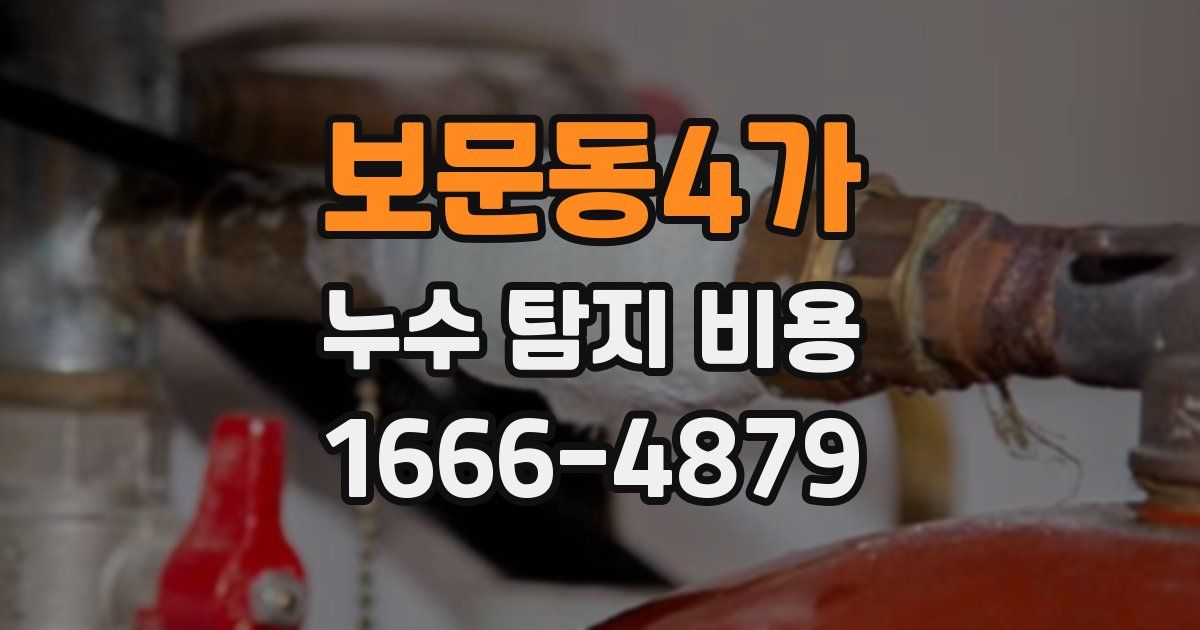 보문동4가 누수 탐지 비용