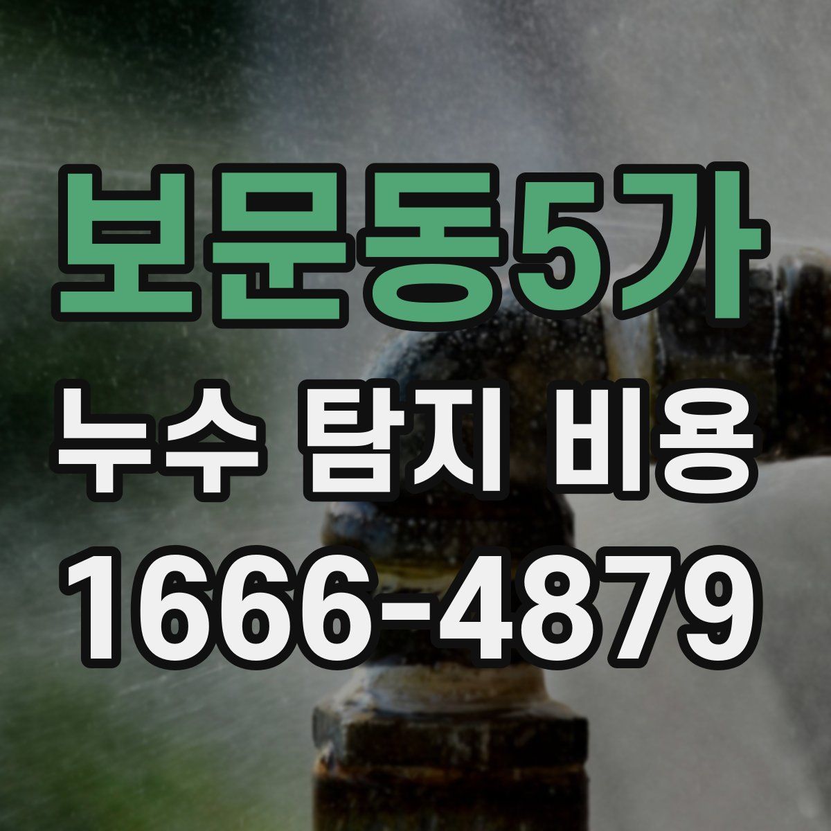 보문동5가 누수 탐지 비용