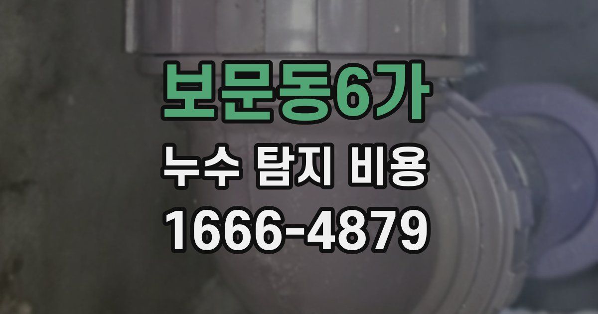 보문동6가 누수 탐지 비용