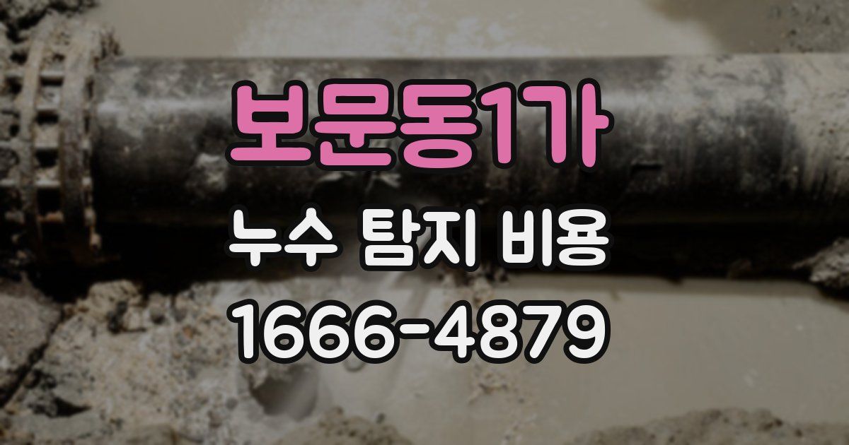 보문동1가 누수 탐지 비용