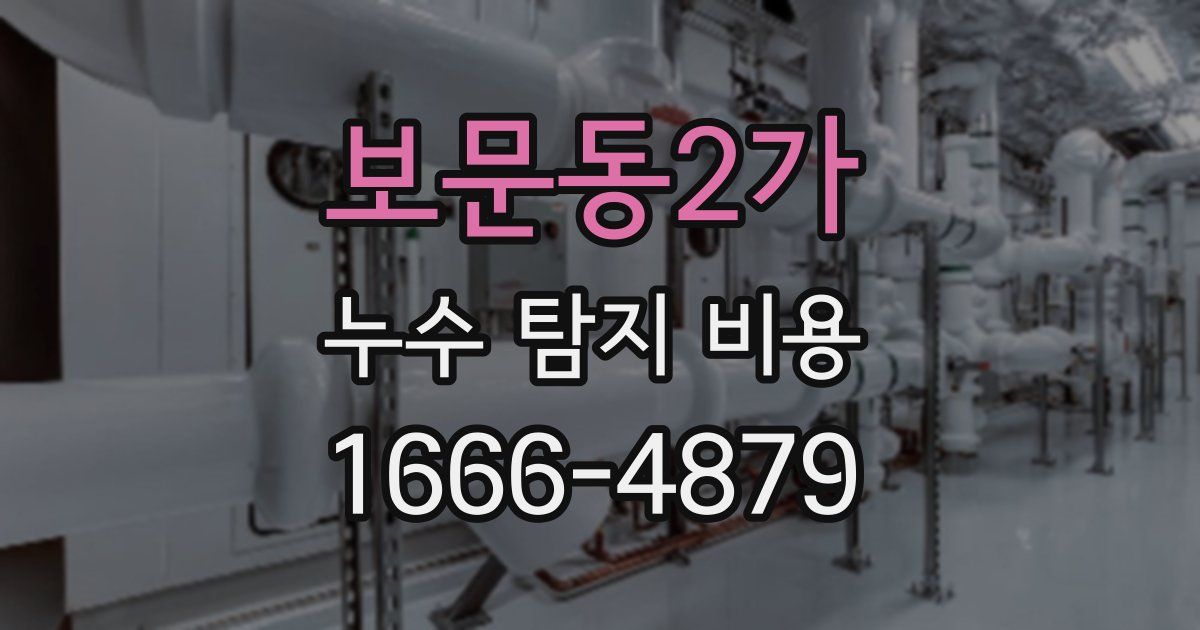 보문동2가 누수 탐지 비용