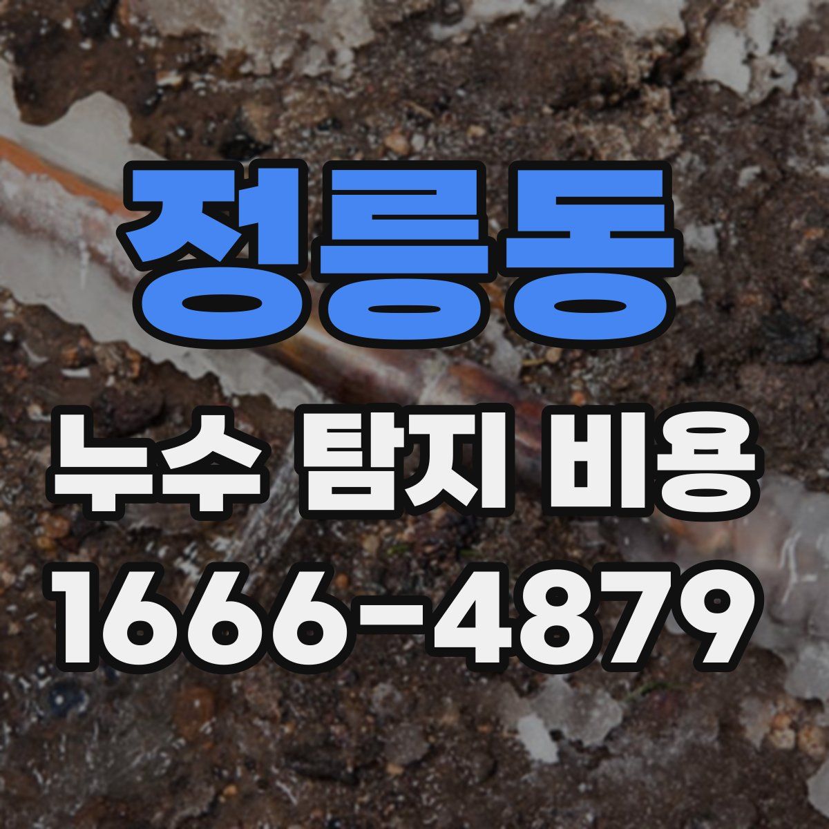 정릉동 누수 탐지 비용