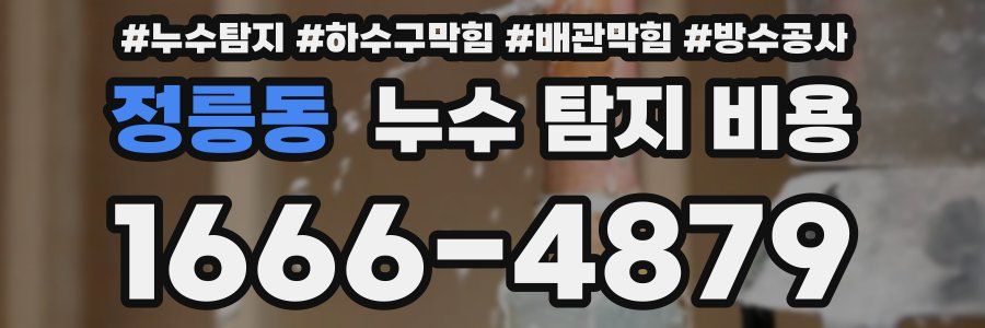 정릉동 누수 탐지 비용