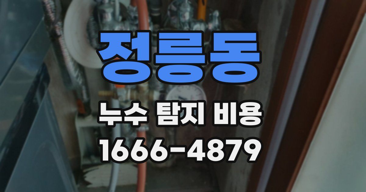 정릉동 누수 탐지 비용