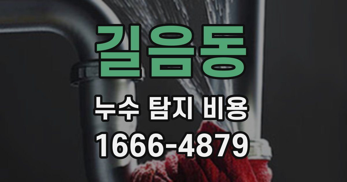 길음동 누수 탐지 비용