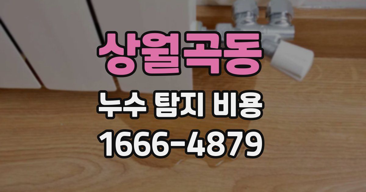 상월곡동 누수 탐지 비용