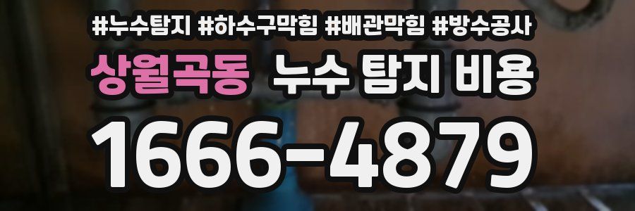 상월곡동 누수 탐지 비용