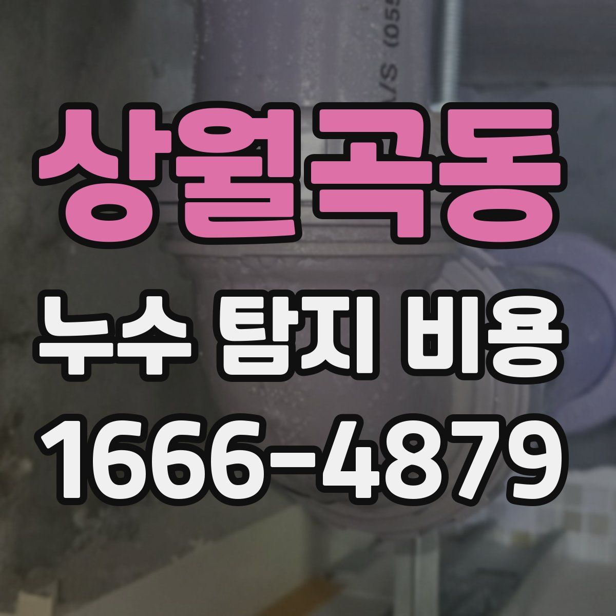 상월곡동 누수 탐지 비용