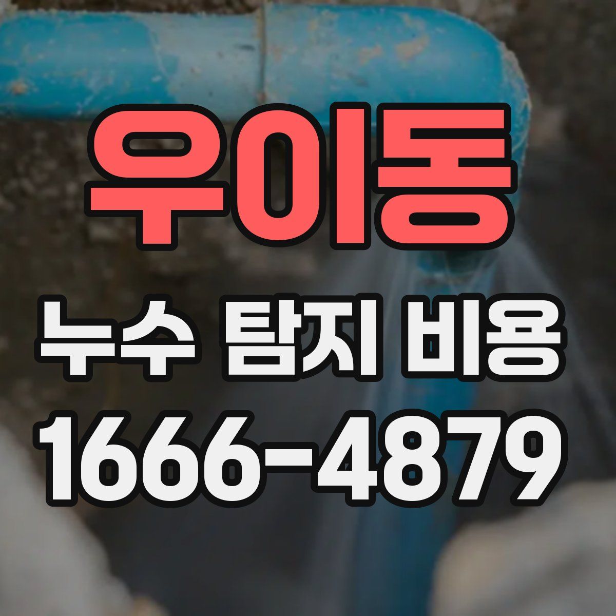 우이동 누수 탐지 비용