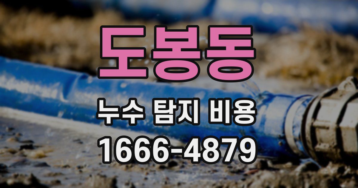 도봉동 누수 탐지 비용