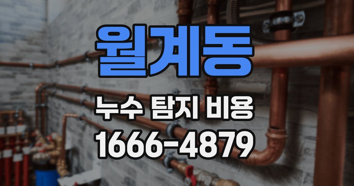 월계동 누수 탐지 비용