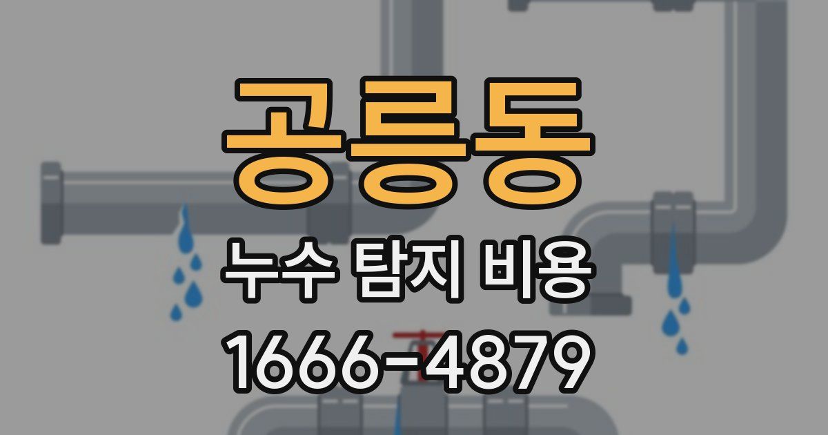 공릉동 누수 탐지 비용