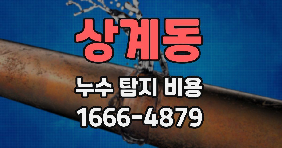 상계동 누수 탐지 비용