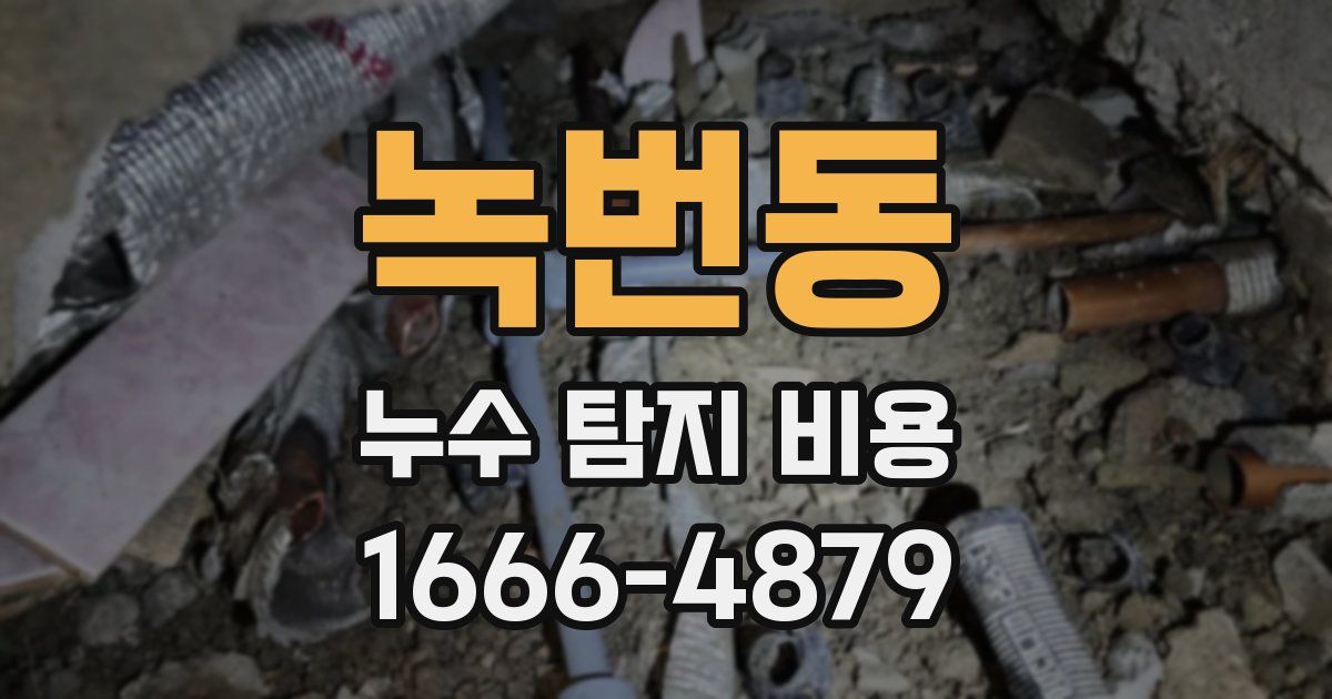 녹번동 누수 탐지 비용