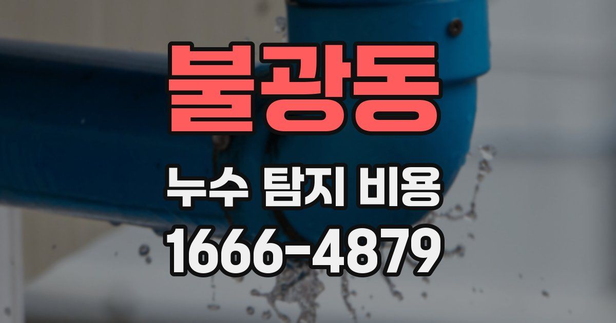 불광동 누수 탐지 비용