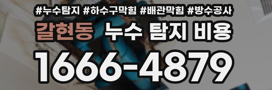 갈현동 누수 탐지 비용