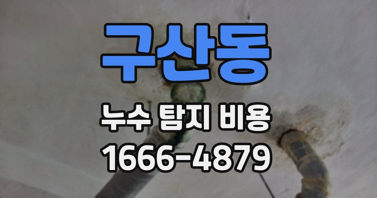 구산동 누수 탐지 비용