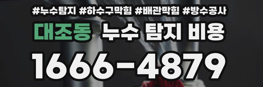 대조동 누수 탐지 비용