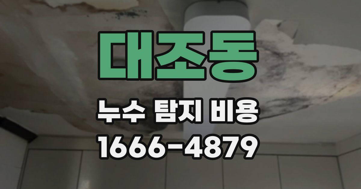대조동 누수 탐지 비용